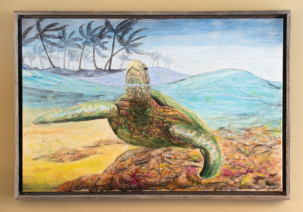Framed green sea turtle colored with acrylics