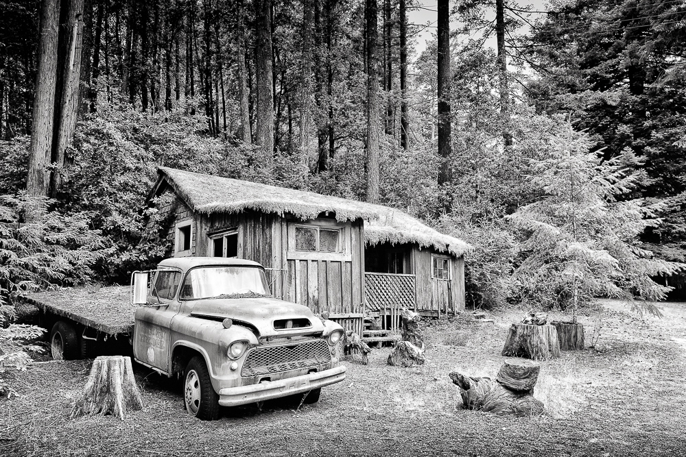 abandoned 1955 chevy pickup truck at hales grove california black and white