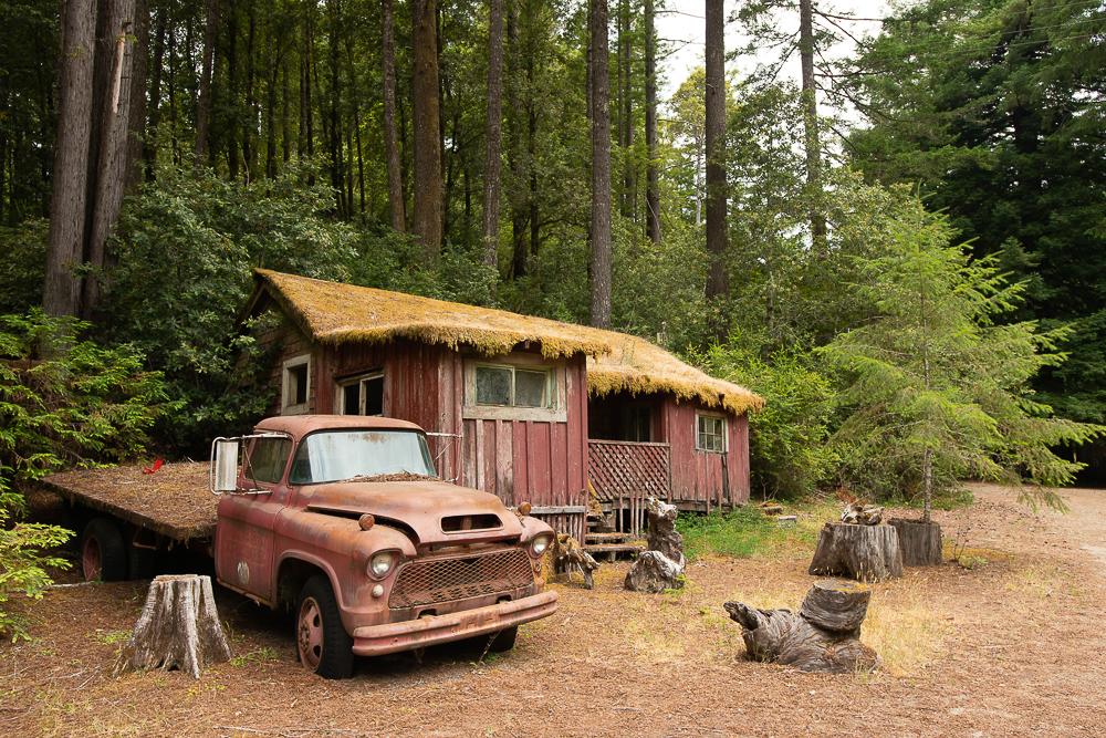 abandoned 1955 chevy pickup truck at hales grove california