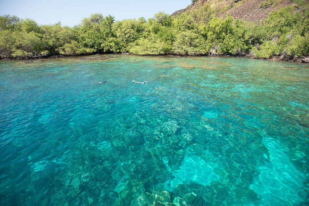 blue clear waters at captain cooks monument in kealakekua bay hawaii