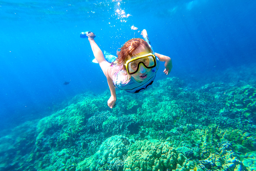 daughter free diving in kealakekua bay hawaii