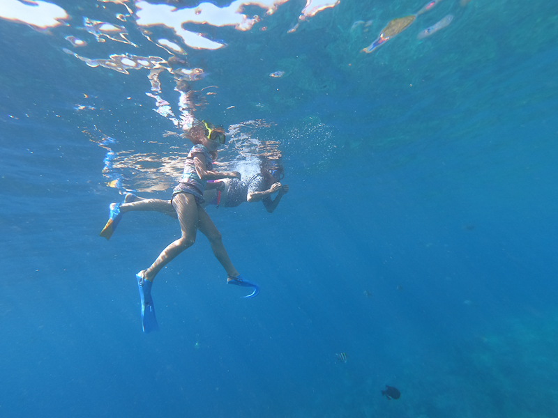 girl and woman snorkeling in blue hawaii waters