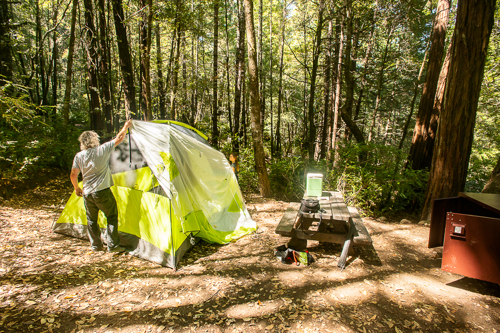 katie and roy setting up tent in humboldt redwoods