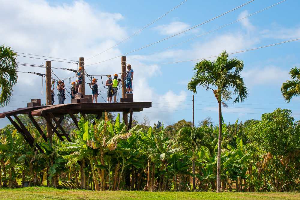 people on zip line tower with palm trees on maui