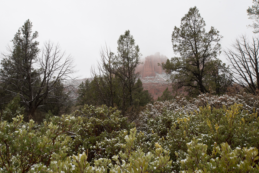 sedona arizona cathedral rock with snow covered vegetation