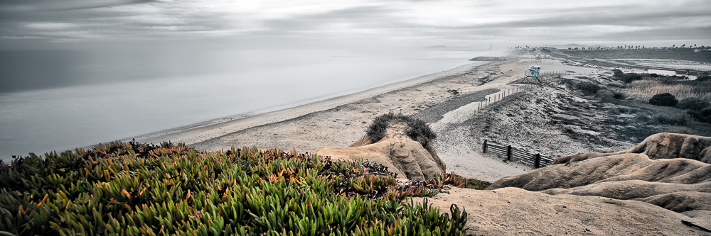 view of south ponto beach with iceplants in carlsbad california