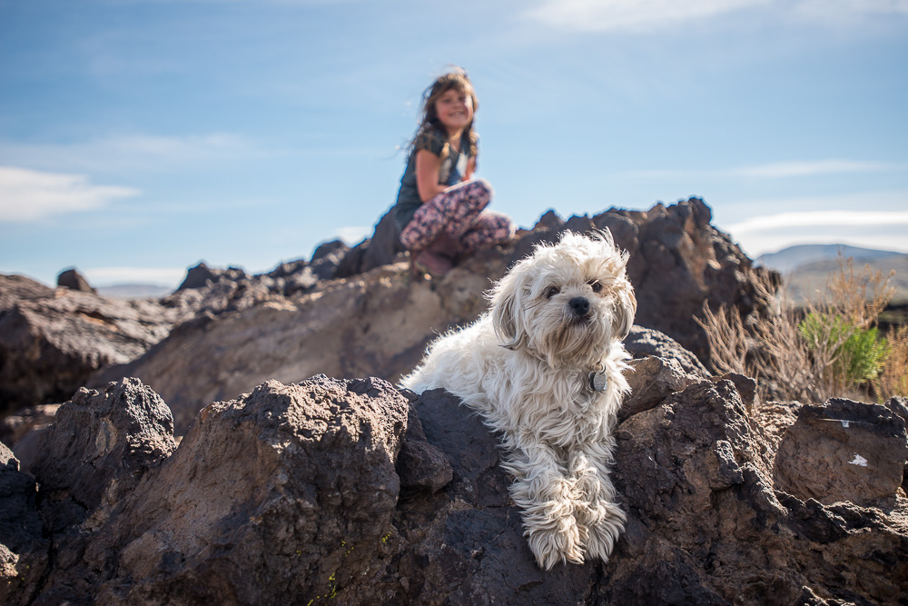 white dog and girl hanging out on lava field
